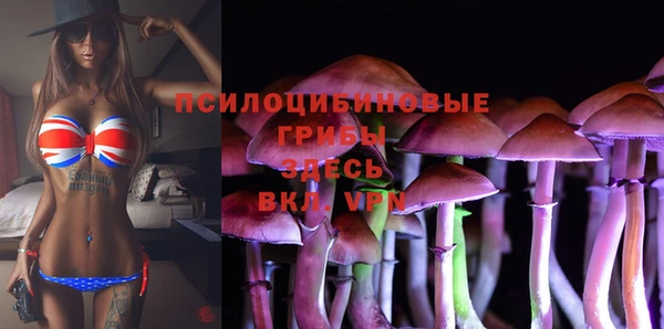 прущие крисы Гусь-Хрустальный