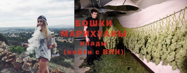 прущие крисы Гусь-Хрустальный