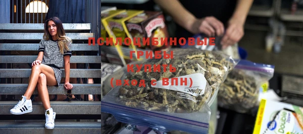 прущие крисы Гусь-Хрустальный